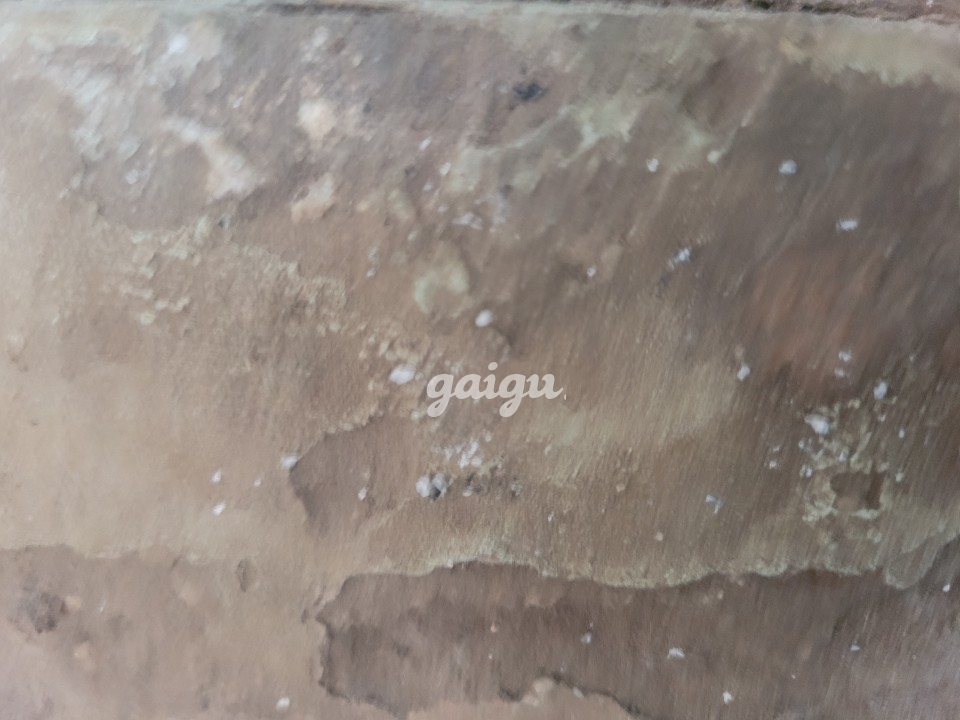 Ái Nữ, 100% gái quê, hình dt chân thật